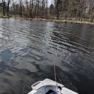 Meet your Posher, Steph